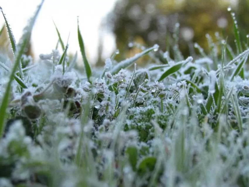 مدار الساعة,الطقس في الأردن اليوم,طقس الأردن,طقس العرب,طقس العرب الاردن,درجات الحرارة