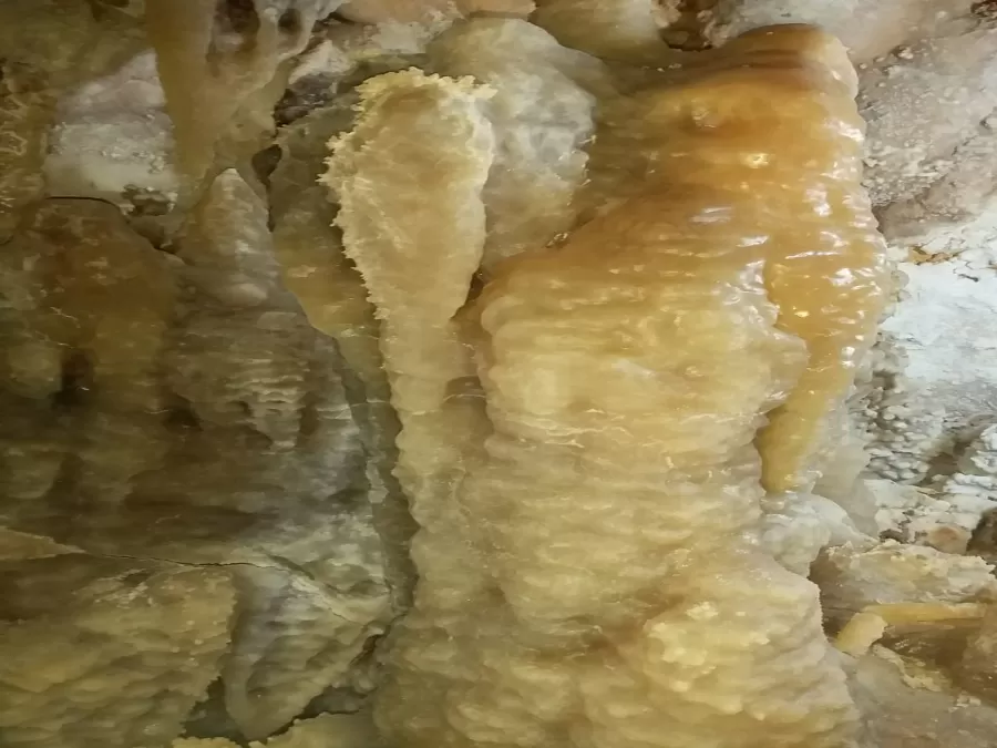 مدار الساعة,مقالات,وزارة السياحة والآثار,وزارة السياحة,الجامعة الهاشمية,مكافحة الفساد,البحر الميت