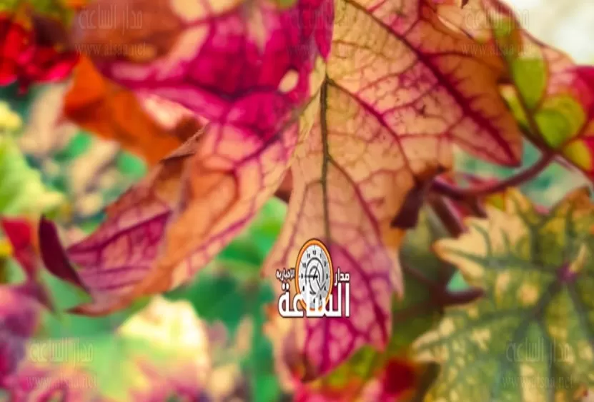 مدار الساعة,أخبار ثقافية,درجات الحرارة