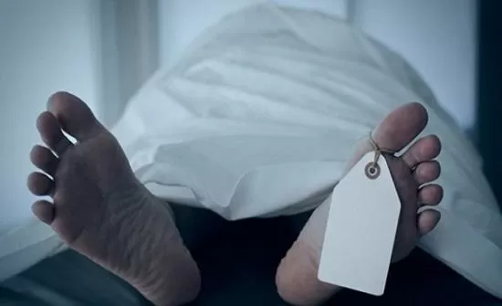 مدار الساعة,أخبار خفيفة ومنوعة