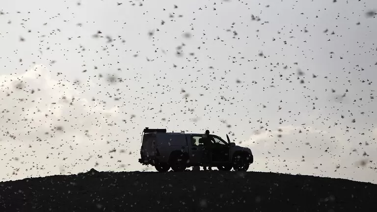 مدار الساعة,أخبار خفيفة ومنوعة,الأمم المتحدة