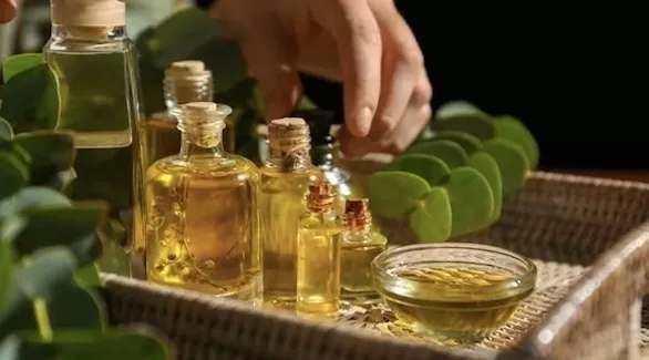 مدار الساعة,أخبار الأسرة