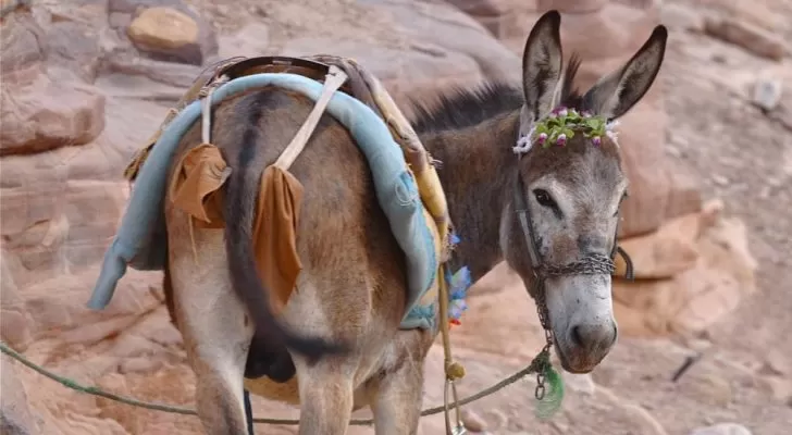 مدار الساعة,أخبار خفيفة ومنوعة