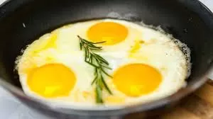 مدار الساعة,أخبار الأسرة