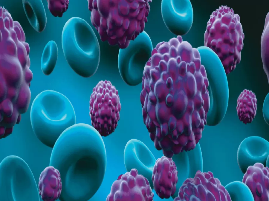 مدار الساعة,أخبار خفيفة ومنوعة