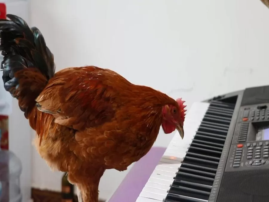 مدار الساعة,أخبار خفيفة ومنوعة