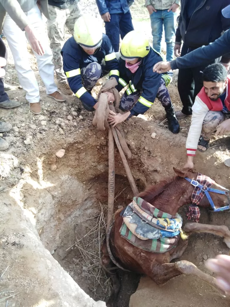 مدار الساعة,أخبار الأردن,اخبار الاردن,الدفاع المدني