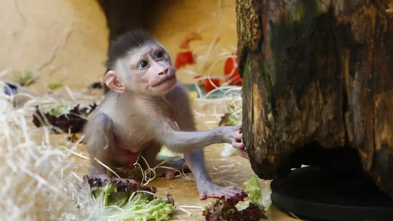 مدار الساعة,أخبار خفيفة ومنوعة