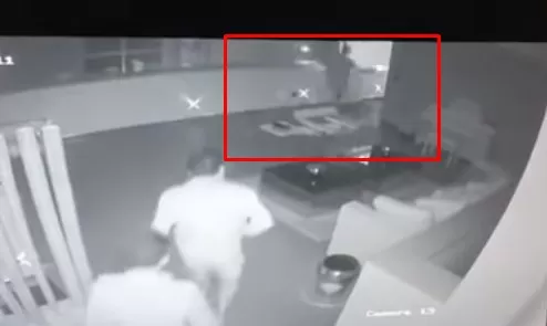 مدار الساعة,أخبار ثقافية