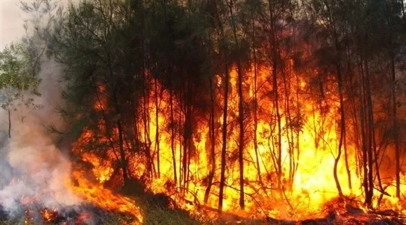 مدار الساعة,أخبار اقتصادية