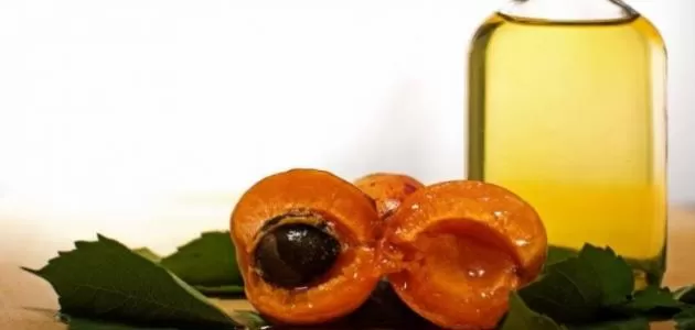 مدار الساعة,أخبار الأسرة