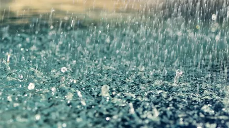 مدار الساعة,أخبار ثقافية