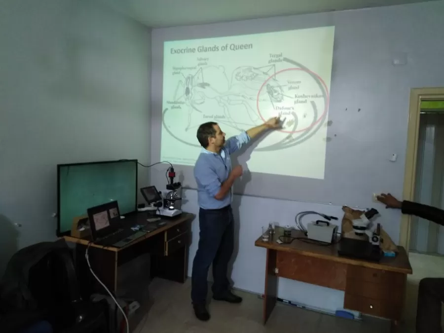 مدار الساعة,أخبار المجتمع الأردني
