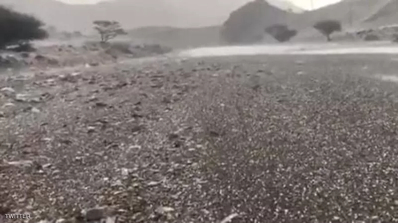 مدار الساعة,أخبار خفيفة ومنوعة,الإمارات العربية المتحدة