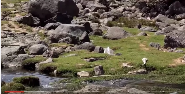 مدار الساعة,أخبار خفيفة ومنوعة