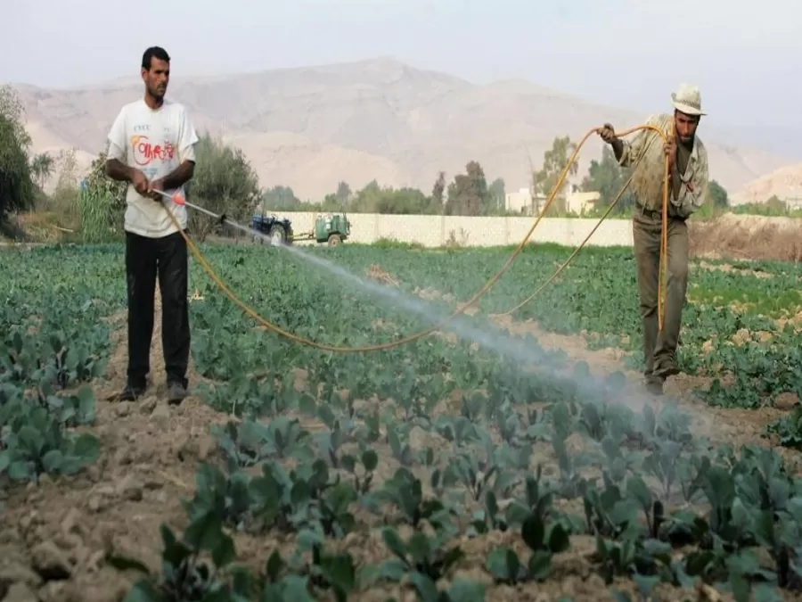 مدار الساعة,أخبار اقتصادية,وزارة العمل