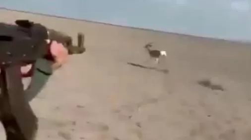 مدار الساعة,Video,فيديو,أخبار خفيفة ومنوعة,الأمن العام