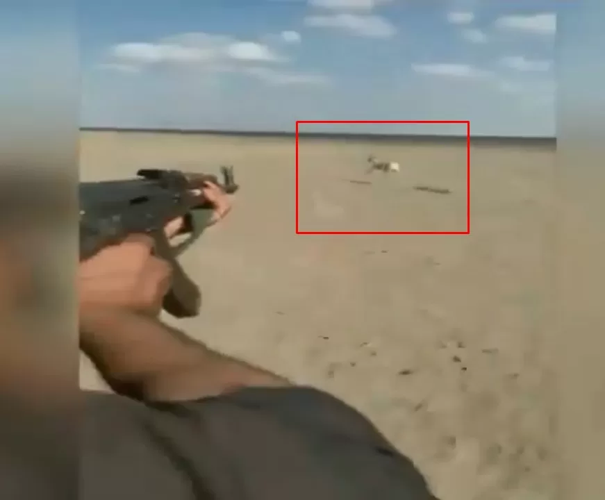 مدار الساعة,Video,فيديو,أخبار خفيفة ومنوعة,الأمن العام