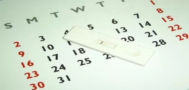 مدار الساعة,أخبار الأسرة