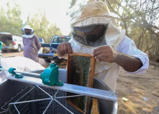 مدار الساعة,أخبار اقتصادية,دائرة الإحصاءات العامة