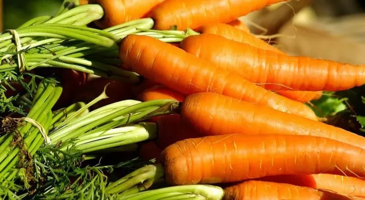 مدار الساعة,أخبار خفيفة ومنوعة,وزارة الزراعة