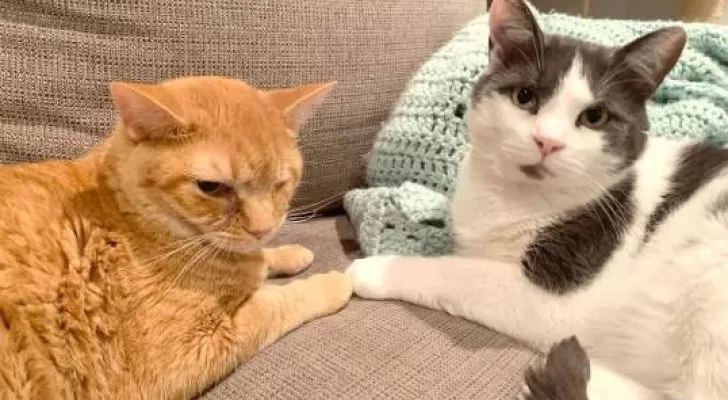 مدار الساعة,أخبار خفيفة ومنوعة