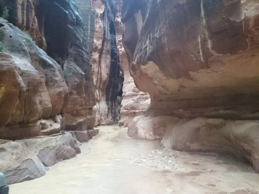 مدار الساعة,أخبار الأردن,اخبار الاردن