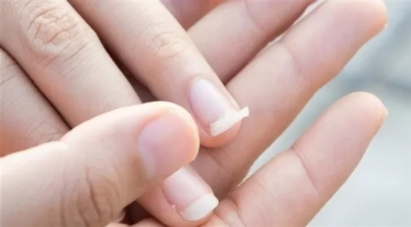 مدار الساعة,أخبار الأسرة
