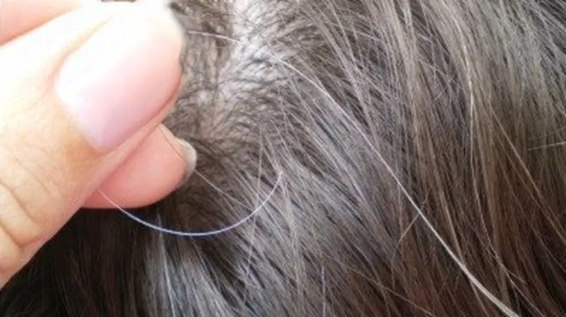 مدار الساعة,أخبار خفيفة ومنوعة