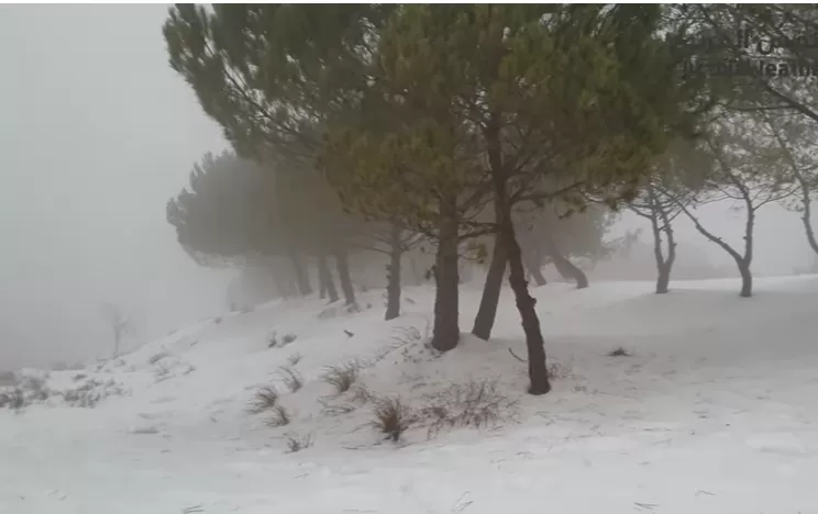 مدار الساعة,أخبار الأردن,اخبار الاردن