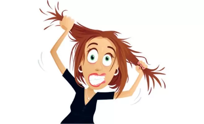 مدار الساعة,أخبار الأسرة