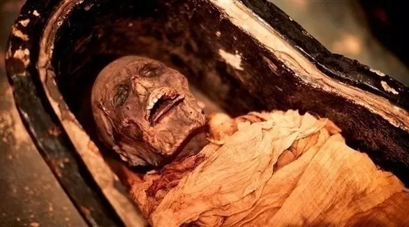 مدار الساعة,أخبار خفيفة ومنوعة