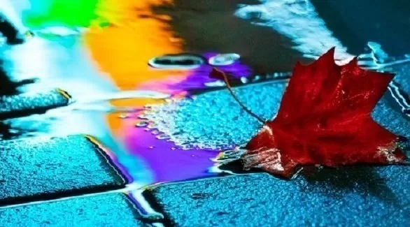 مدار الساعة,أخبار ثقافية