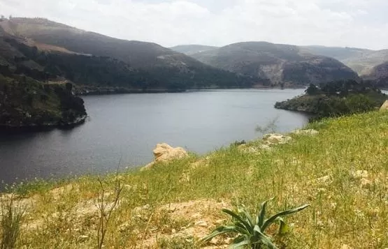 مدار الساعة,أخبار الأردن,اخبار الاردن,وزير المياه والري,رائد ابو السعود