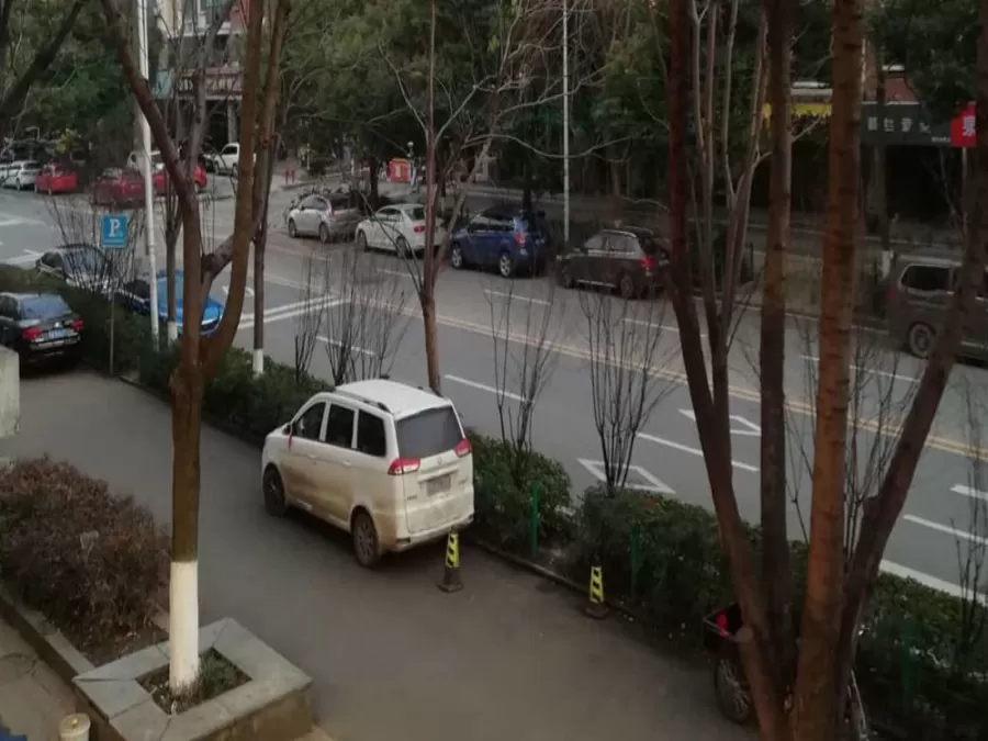 مدار الساعة,أخبار عربية ودولية,كورونا,وزارة الصحة,الإمارات العربية المتحدة