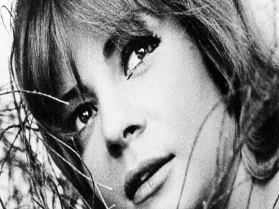 مدار الساعة,أخبار ثقافية,مواقع التواصل الاجتماعي