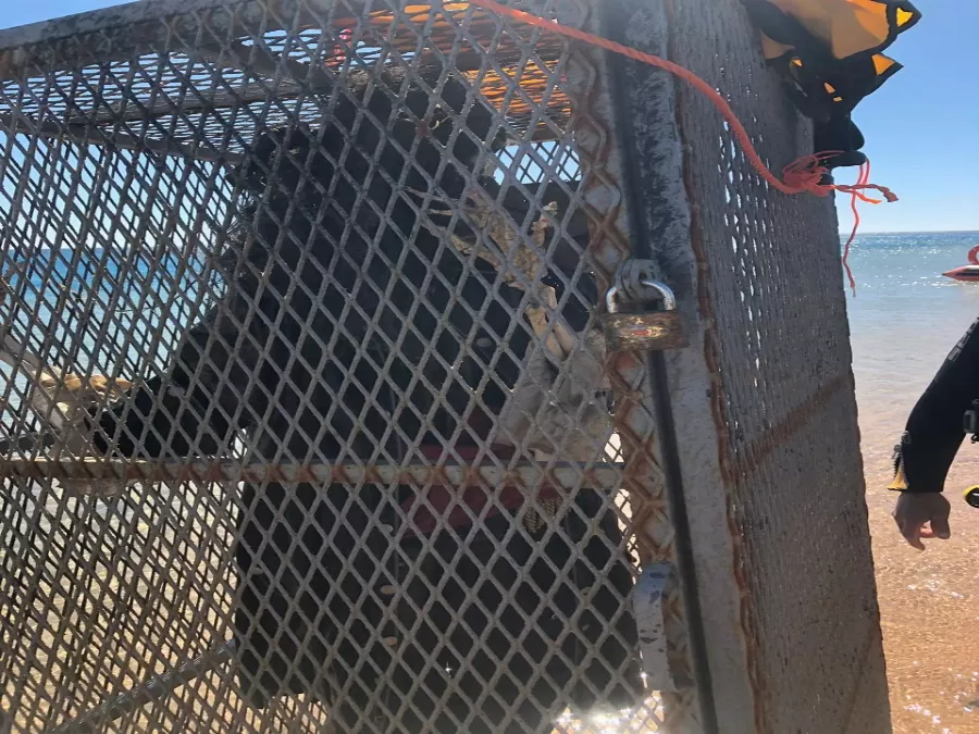 مدار الساعة,أخبار خفيفة ومنوعة