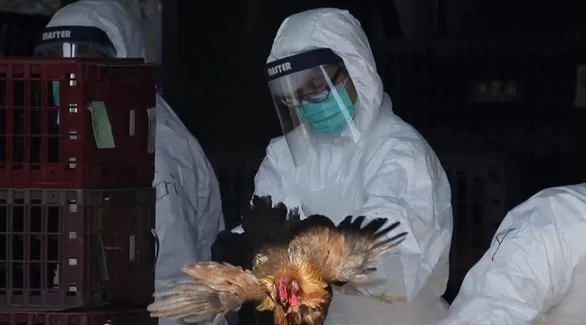 مدار الساعة,أخبار خفيفة ومنوعة,كورونا,وزارة الزراعة