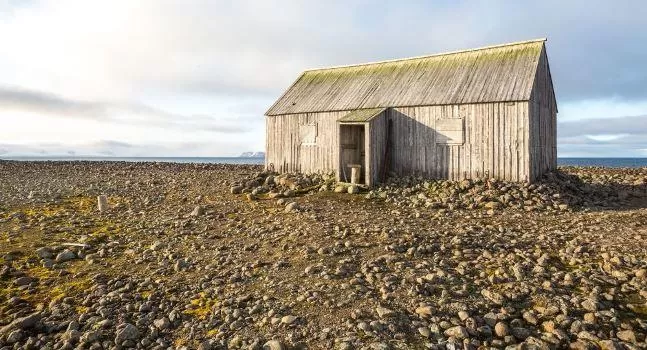 مدار الساعة,أخبار خفيفة ومنوعة