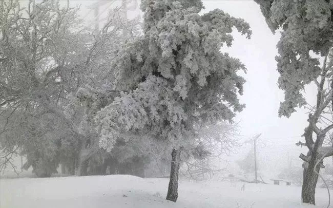 مدار الساعة,الطقس في الأردن اليوم,طقس الأردن,طقس العرب,طقس العرب الاردن,الأرصاد الجوية,درجات الحرارة,البحر الميت