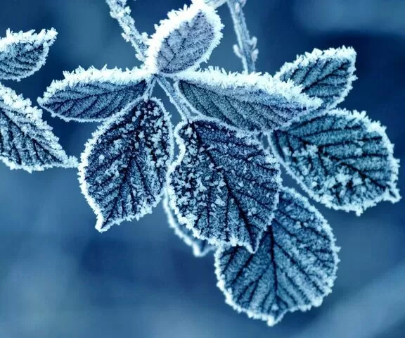 مدار الساعة,أخبار خفيفة ومنوعة,الحالة الجوية