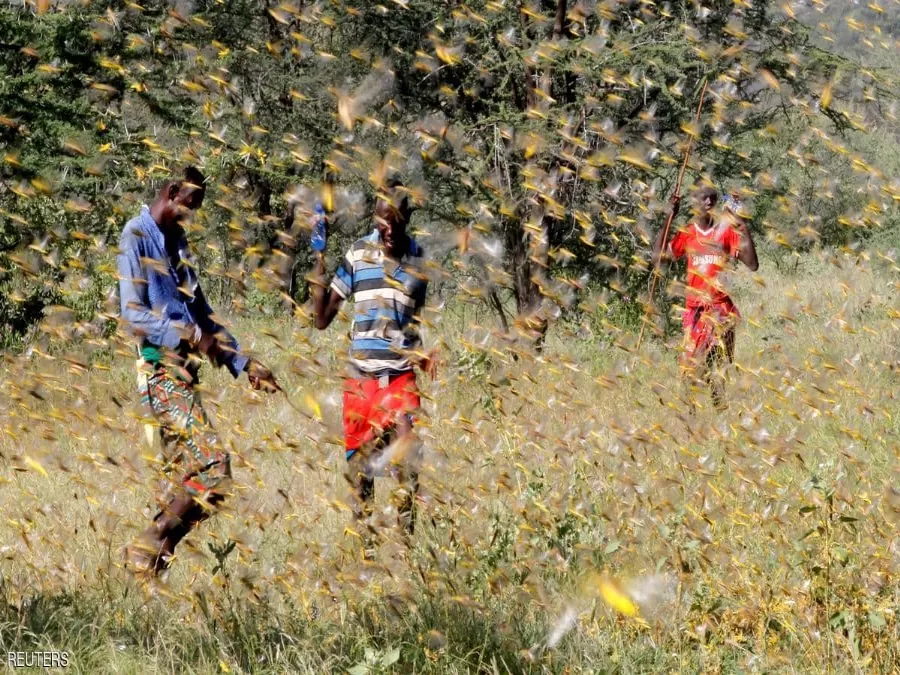 مدار الساعة,أخبار رياضية,الأمم المتحدة