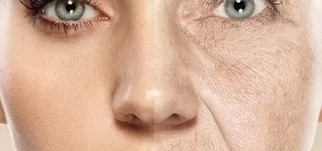 مدار الساعة,أخبار الأسرة