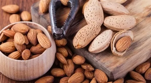 مدار الساعة,أخبار الأسرة