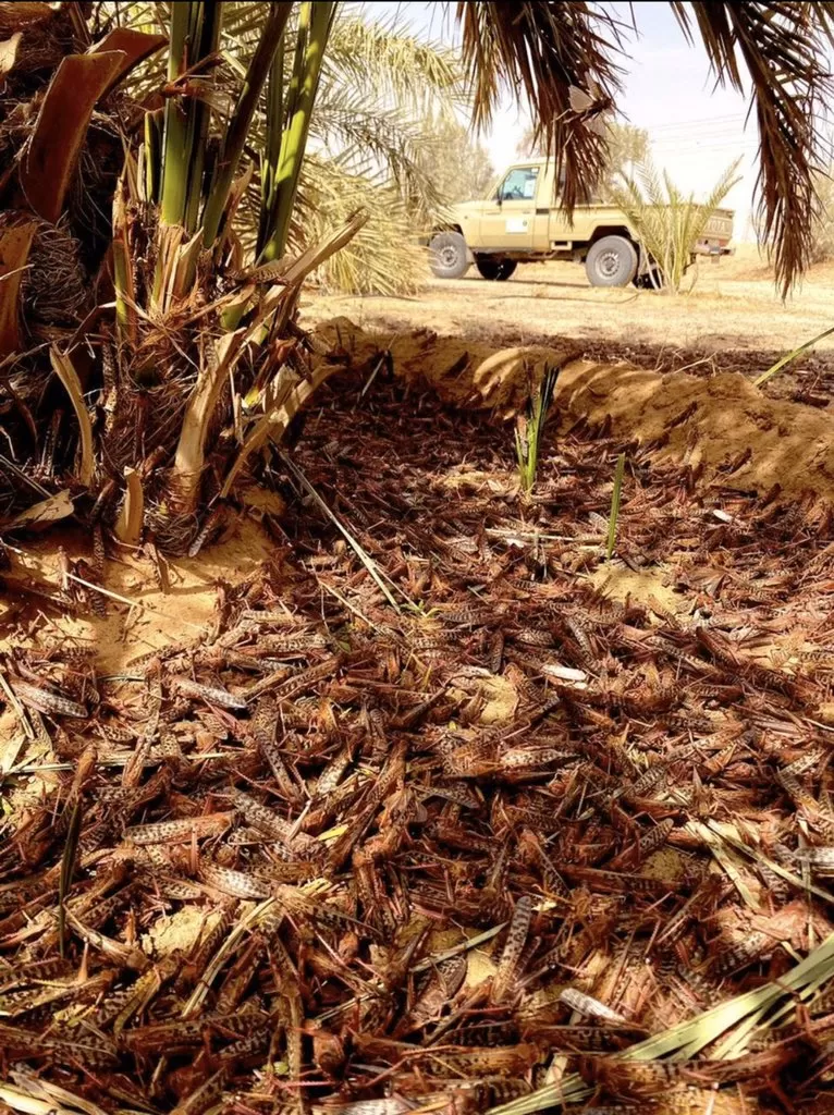 مدار الساعة,أخبار عربية ودولية,وزير الزراعة,الأمم المتحدة