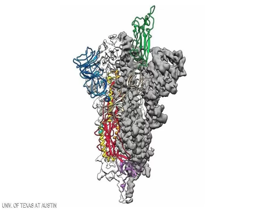 مدار الساعة,أخبار عربية ودولية,كورونا