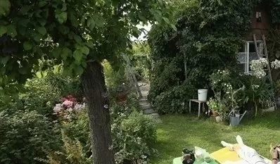 مدار الساعة,أخبار الأسرة