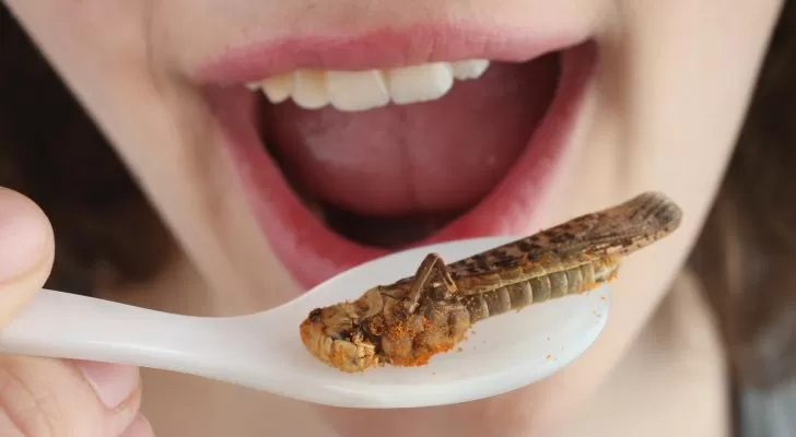 مدار الساعة,أخبار خفيفة ومنوعة