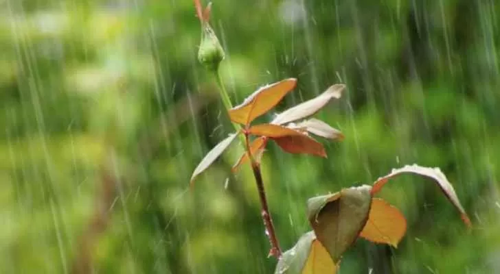 مدار الساعة,الطقس في الأردن اليوم,طقس الأردن,طقس العرب,طقس العرب الاردن,درجات الحرارة