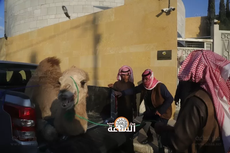 مدار الساعة,Video,فيديو,أخبار المجتمع الأردني,الملك عبدالله الثاني,الشيخ تميم بن حمد